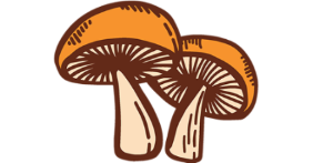 Pan's Mushroom Jerky logo